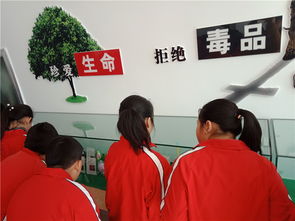 擰緊安全弦，筑牢防護網(wǎng)——煙臺龍口學(xué)校開展新時代文明實踐活動