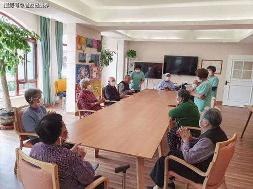 香港長者為何青睞珠海 大灣區(qū)養(yǎng)老的智慧選擇與煙臺教育咨詢服務(wù)的啟示